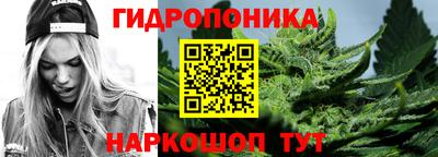 a pvp Кимры