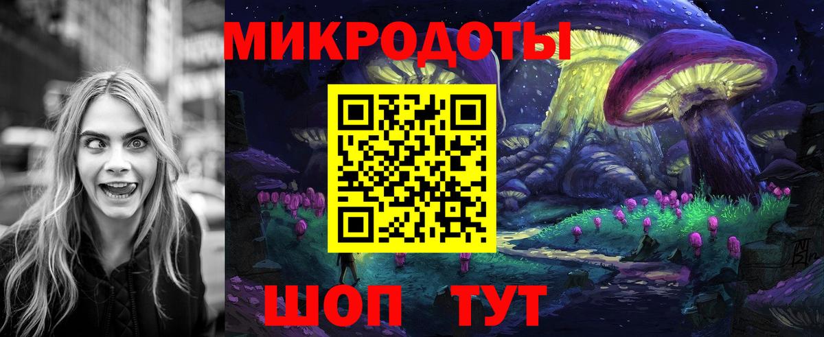 Псилоцибиновые грибы Cubensis Конаково
